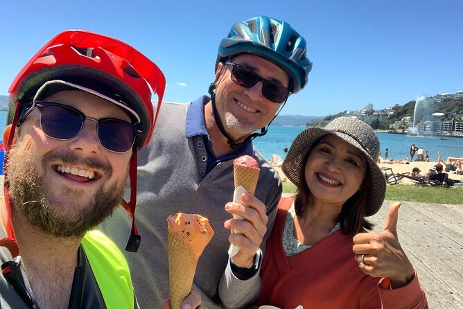 Wellington Guided eBike Tour-Cruise Shore Excursion - Why an e-bike suits Wellington so well
