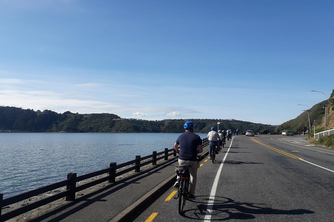 Wellington Guided eBike Tour-Cruise Shore Excursion - Te Papa, Mount Victoria, and the coastal route
