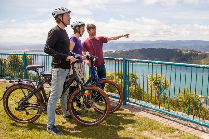 Wellington Guided eBike Tour-Cruise Shore Excursion - Riding the Wellington Waterfront