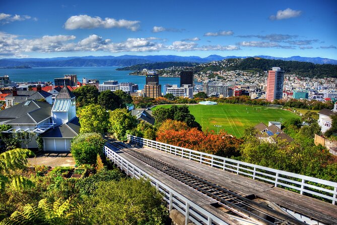 Wellington Shore Excursion City Sightseeing Tour - Mt Victoria: the strongest view of Wellington