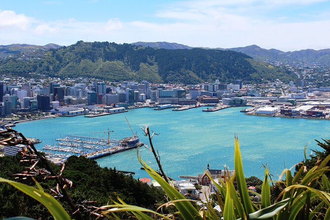 Wellington Shore Excursion City Sightseeing Tour - What the three-hour promise really means