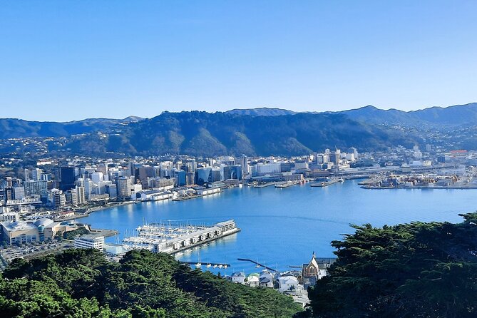 Wellington Shore Excursion: From Cave to Coast Highlights Private Tour - A fast route from Wellington’s harbour to the coast