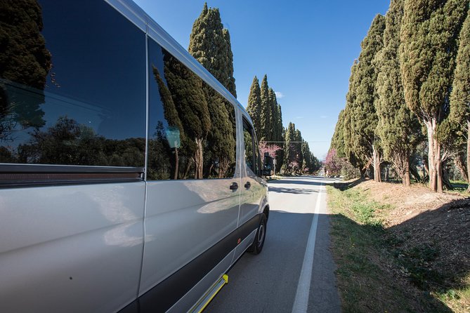 Wine Tour Bolgheri Half Day Shore Excursion from Livorno Port - A 90-minute winery visit