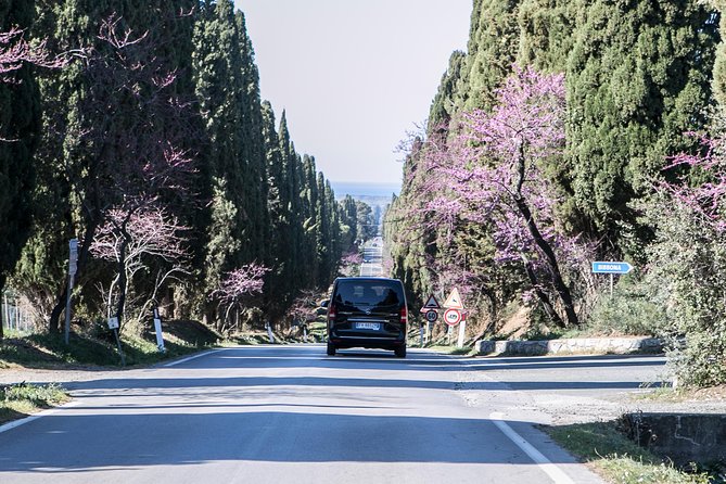Wine Tour Bolgheri Half day Shore Excursion from Piombino Port - Bolgheri village and the winery visit