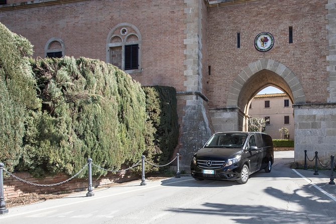 Wine Tour Bolgheri Half day Shore Excursion from Piombino Port - The first look at Viale dei Cipressi