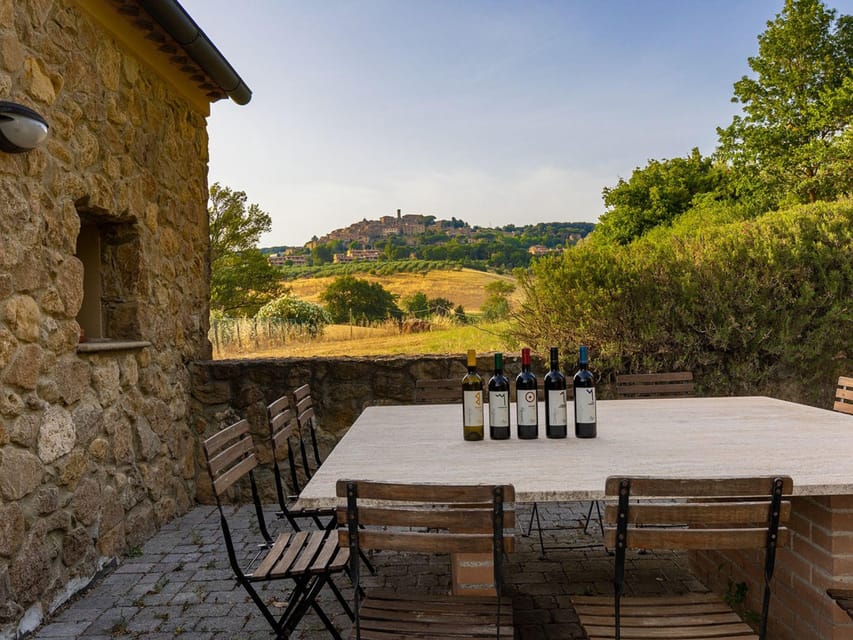 Winery Tour & Wine Tasting with Food near Livorno & Pisa - Key points to know before you book