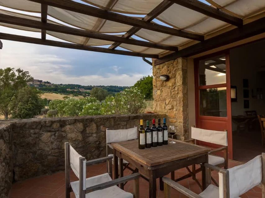 Winery Tour & Wine Tasting with Food near Livorno & Pisa - Why the Etruscan Prince Warrior story matters