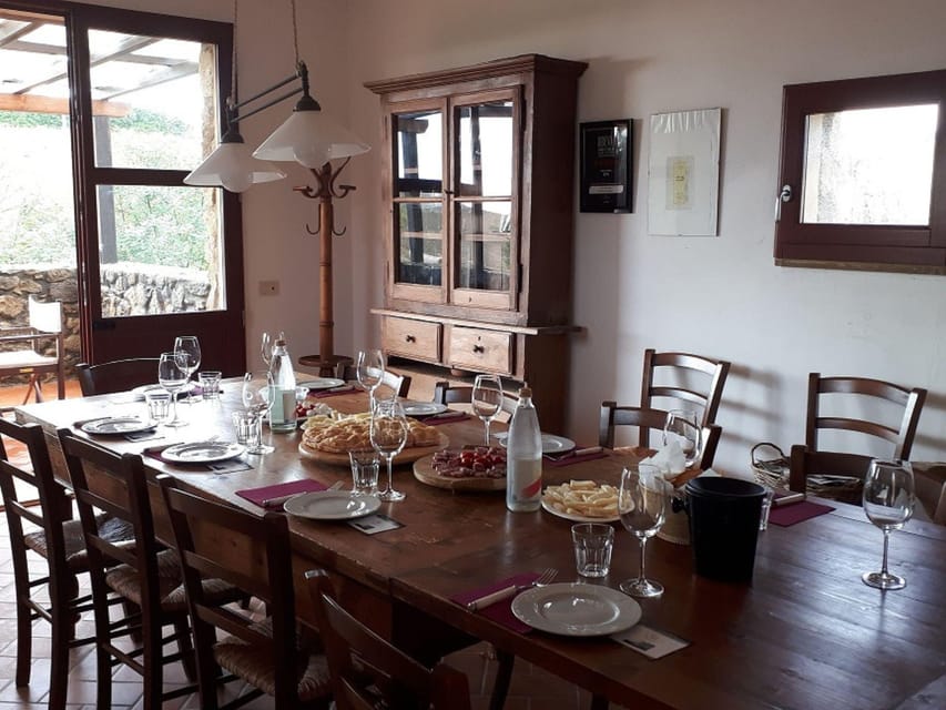 Winery Tour & Wine Tasting with Food near Livorno & Pisa - From vinification rooms to barrel aging