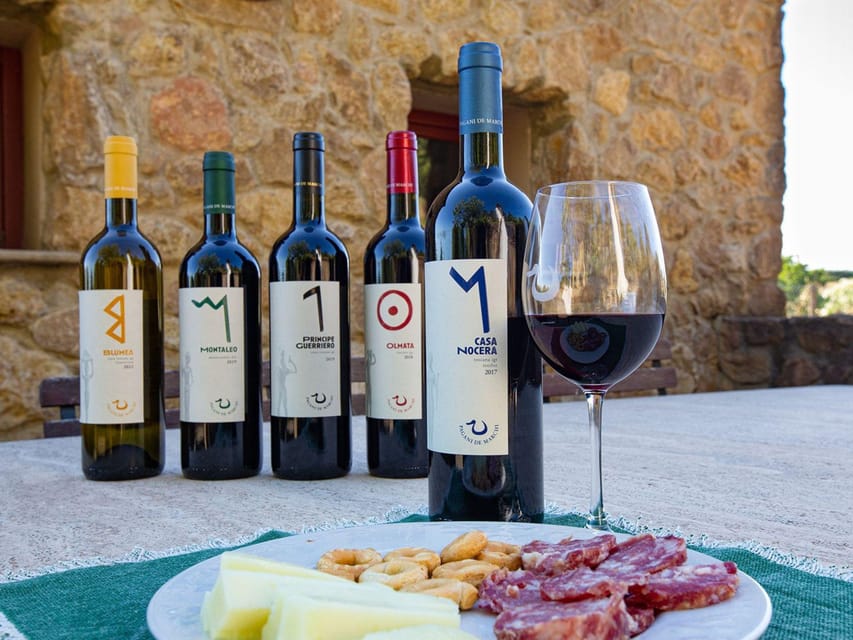 Winery Tour & Wine Tasting with Food near Livorno & Pisa - Accessibility and booking details to check