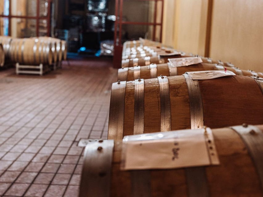 Winery Tour & Wine Tasting with Food near Livorno & Pisa - Should you book the Etruscan Prince Warrior winery tour?