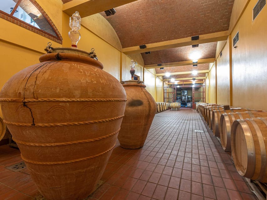 Winery Tour & Wine Tasting with Food near Livorno & Pisa - What happens when you arrive at the winery