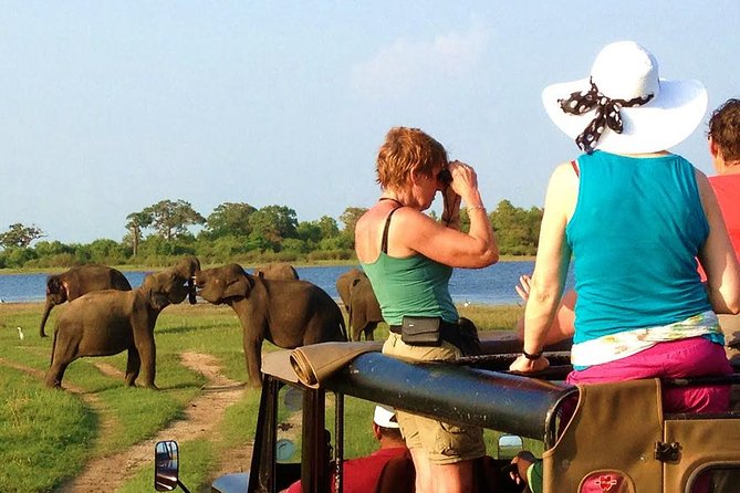 Yala Safari Tour from Hambantota Port (Shore Excursion) - The animals you might see in Yala