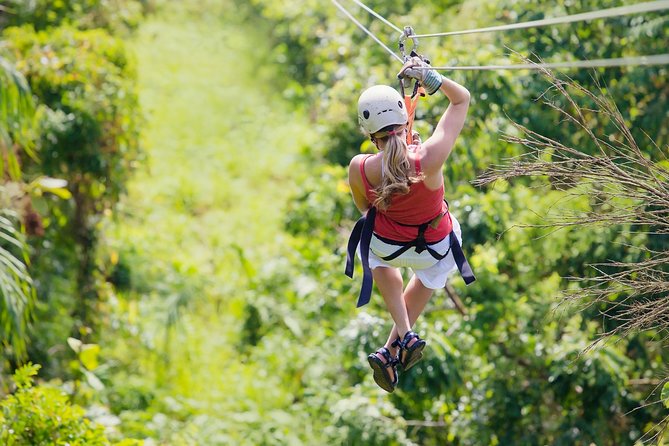 Zipline Canopy Tour & Tortuguero Canal Boat tour. Shore Excursion from Limon - What Makes This Limón Excursion Worth Considering