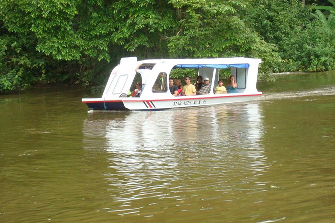 Zipline Canopy Tour & Tortuguero Canal Boat tour. Shore Excursion from Limon - From the Cruise Pier to the Tortuguero Canal